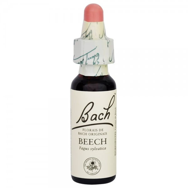 beech-floral-bach-stock