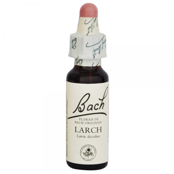 larch-floral-bach-stock