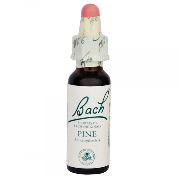 pine-floral-bach-stock