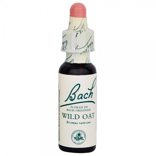 wild-oat-floral-bach-stock