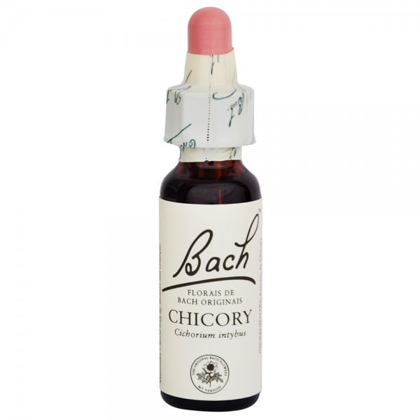 chicory-floral-bach-stock