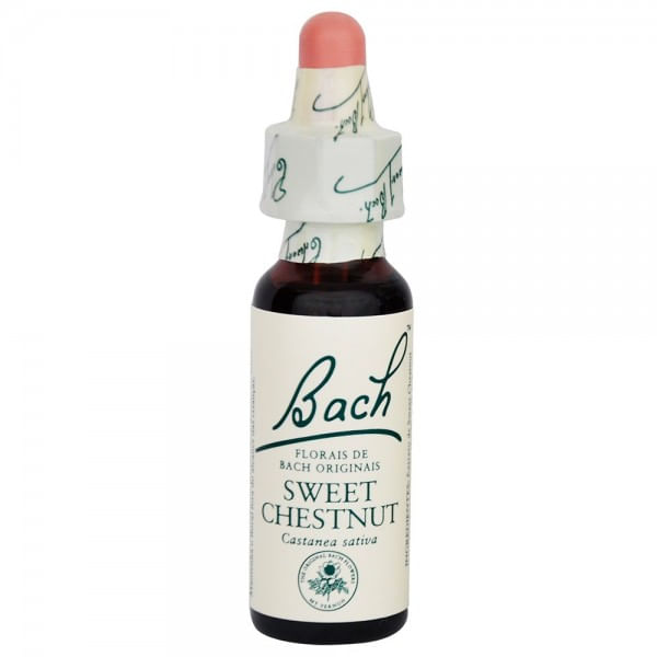 sweet-chesnut-floral-bach-stock